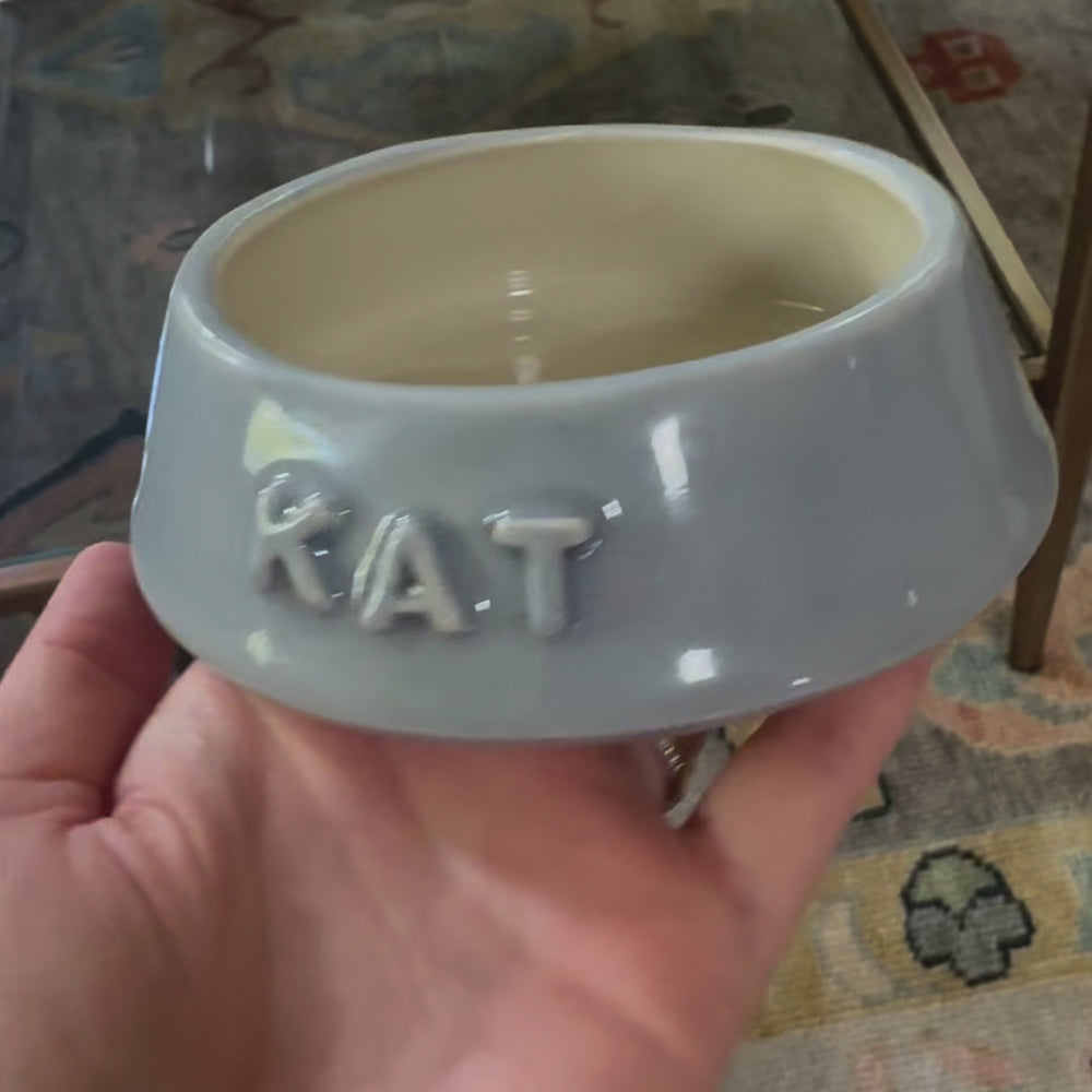 Cat Bowl