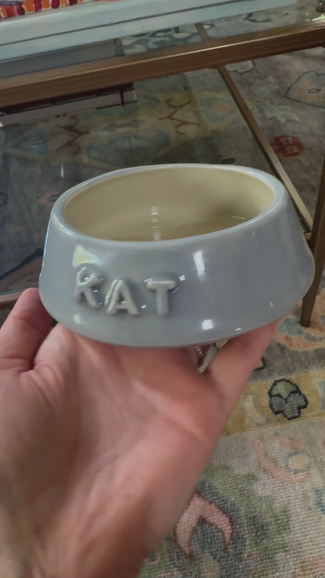 Cat Bowl